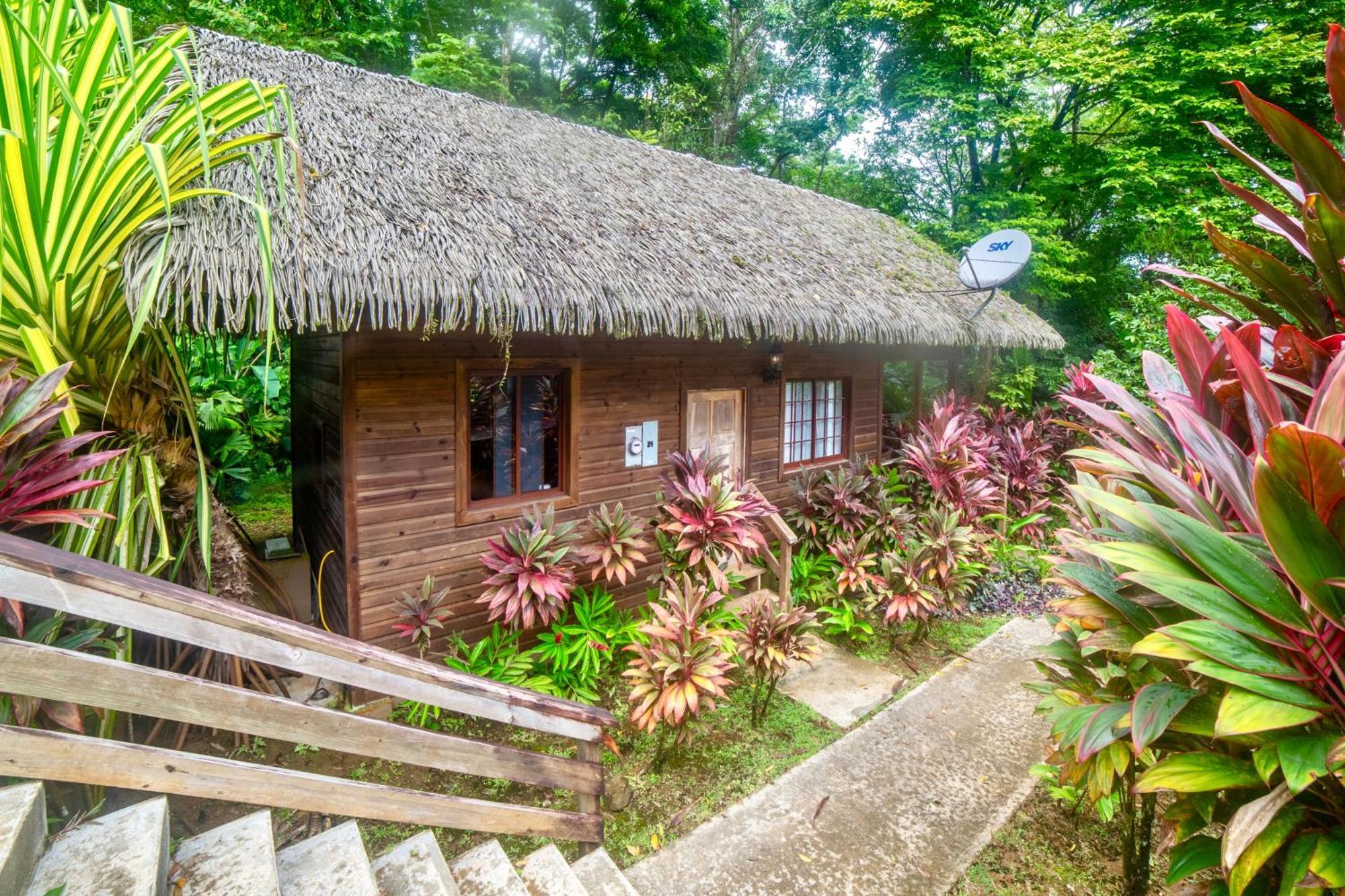 Red Frog Beach Island Resort Bocas Town Ngoại thất bức ảnh
